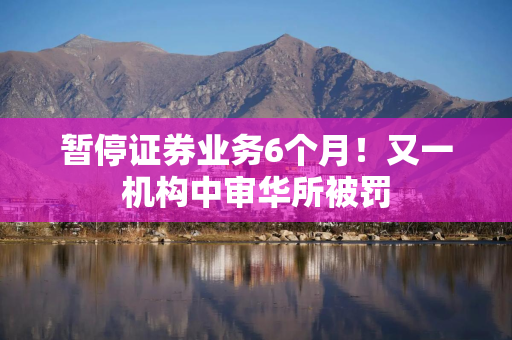 暂停证券业务6个月！又一机构中审华所被罚