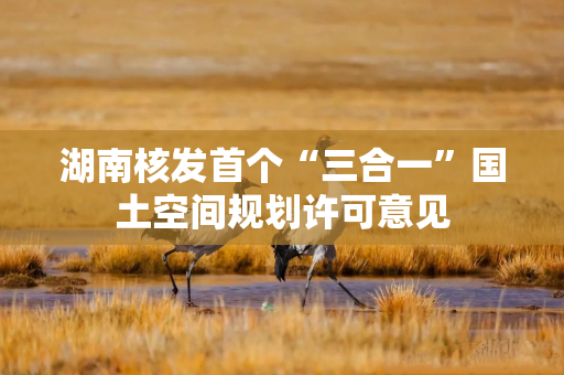 湖南核发首个“三合一”国土空间规划许可意见