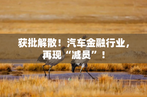 获批解散！汽车金融行业，再现“减员”！