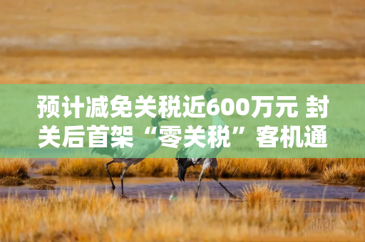 预计减免关税近600万元 封关后首架“零关税”客机通关