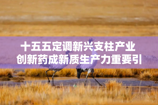 十五五定调新兴支柱产业 创新药成新质生产力重要引擎