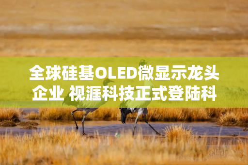 全球硅基OLED微显示龙头企业 视涯科技正式登陆科创板