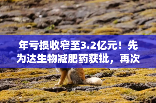 年亏损收窄至3.2亿元！先为达生物减肥药获批，再次递表港交所|港E声