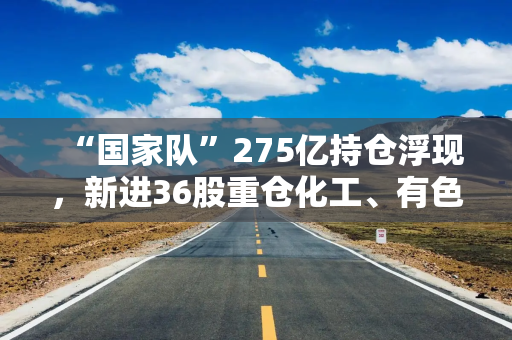 “国家队”275亿持仓浮现，新进36股重仓化工、有色！险资继续加仓红利股