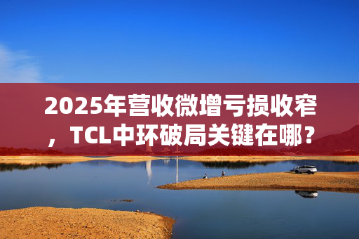 2025年营收微增亏损收窄，TCL中环破局关键在哪？