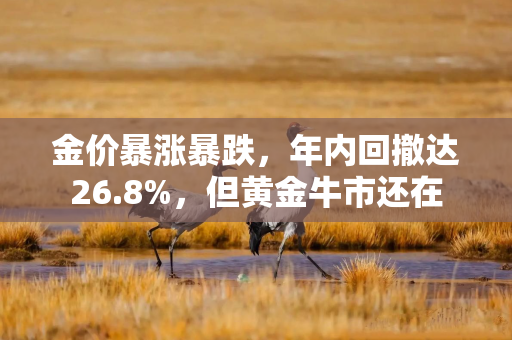 金价暴涨暴跌，年内回撤达26.8%，但黄金牛市还在