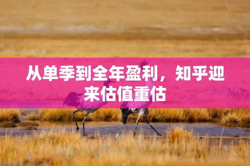 从单季到全年盈利，知乎迎来估值重估