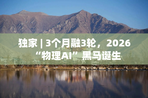 独家 | 3个月融3轮，2026“物理AI”黑马诞生