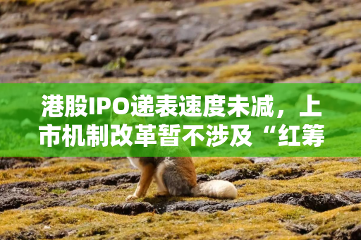 港股IPO递表速度未减，上市机制改革暂不涉及“红筹架构”