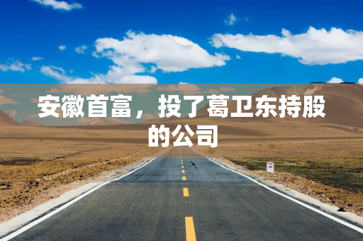 安徽首富，投了葛卫东持股的公司
