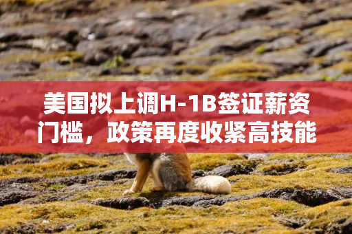 美国拟上调H-1B签证薪资门槛，政策再度收紧高技能移民路径