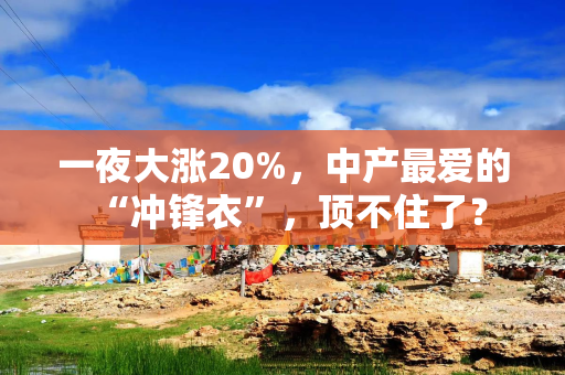 一夜大涨20%，中产最爱的“冲锋衣”，顶不住了？
