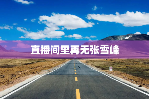 直播间里再无张雪峰