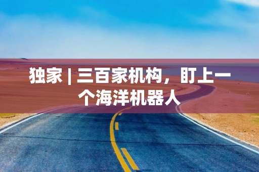 独家 | 三百家机构，盯上一个海洋机器人