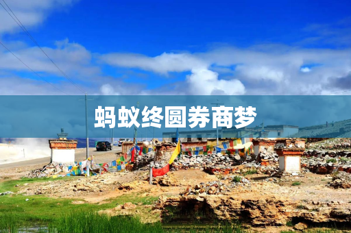 蚂蚁终圆券商梦
