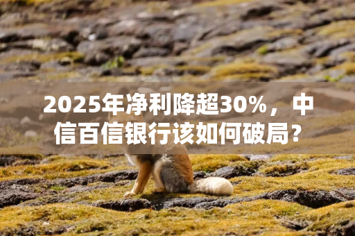 2025年净利降超30%，中信百信银行该如何破局？
