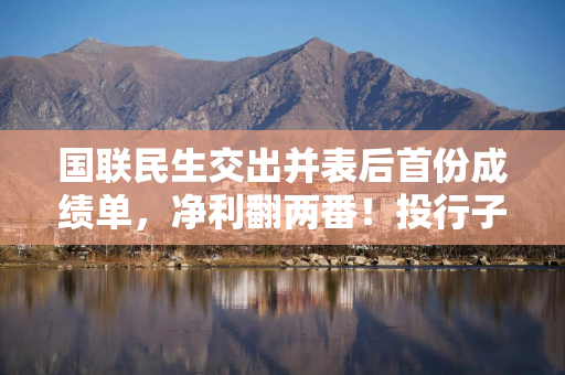 国联民生交出并表后首份成绩单，净利翻两番！投行子公司仍亏损1.06亿
