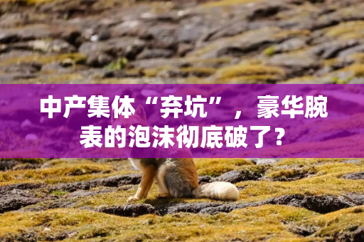 中产集体“弃坑”，豪华腕表的泡沫彻底破了？