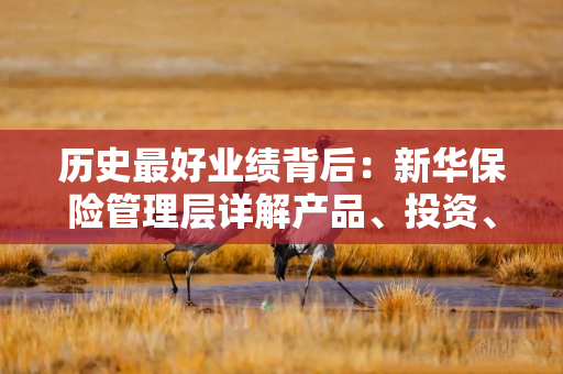 历史最好业绩背后：新华保险管理层详解产品、投资、AI核心策略