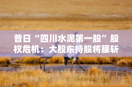 昔日“四川水泥第一股”股权危机：大股东持股将腰斩，谁将入主四川金顶？