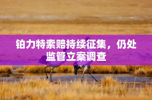 铂力特索赔持续征集，仍处监管立案调查