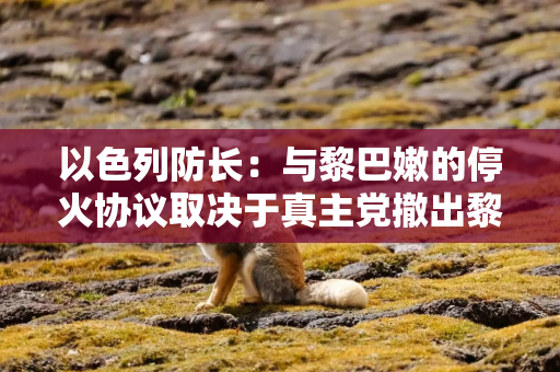 以色列防长：与黎巴嫩的停火协议取决于真主党撤出黎南部