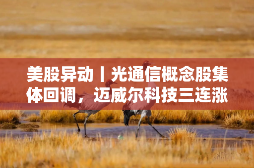 美股异动丨光通信概念股集体回调，迈威尔科技三连涨后跌超7%