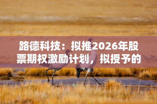 路德科技：拟推2026年股票期权激励计划，拟授予的股票期权数量400万份