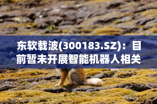 东软载波(300183.SZ)：目前暂未开展智能机器人相关业务