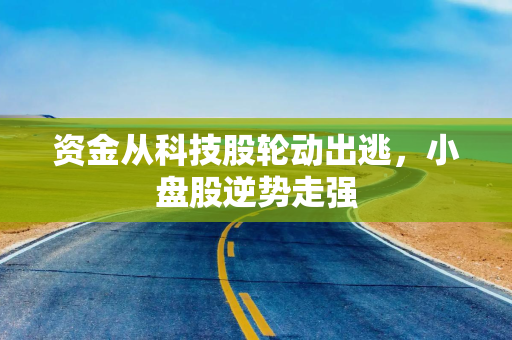 资金从科技股轮动出逃，小盘股逆势走强
