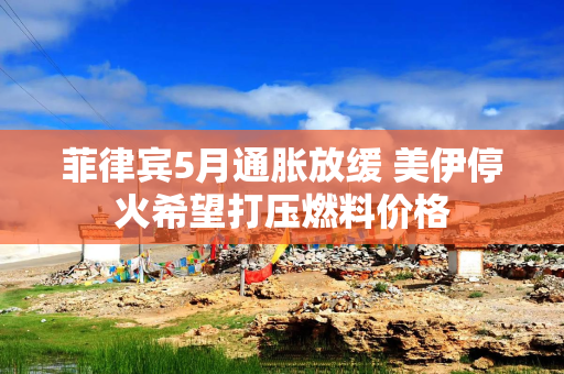 菲律宾5月通胀放缓 美伊停火希望打压燃料价格