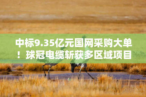 中标9.35亿元国网采购大单！球冠电缆斩获多区域项目