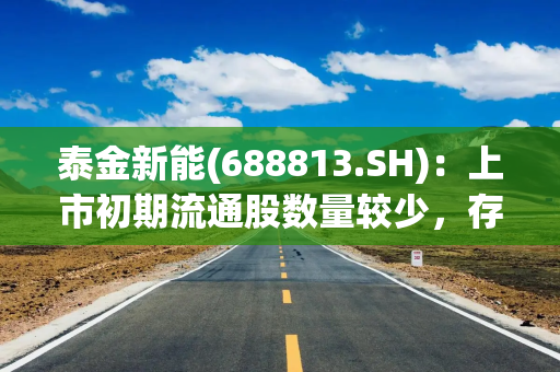 泰金新能(688813.SH)：上市初期流通股数量较少，存在流动性不足的风险