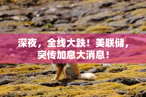 深夜，全线大跌！美联储，突传加息大消息！