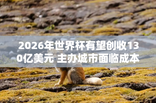 2026年世界杯有望创收130亿美元 主办城市面临成本压力