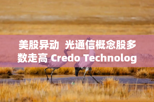 美股异动  光通信概念股多数走高 Credo Technology(CRDO.US)逆市涨超4%