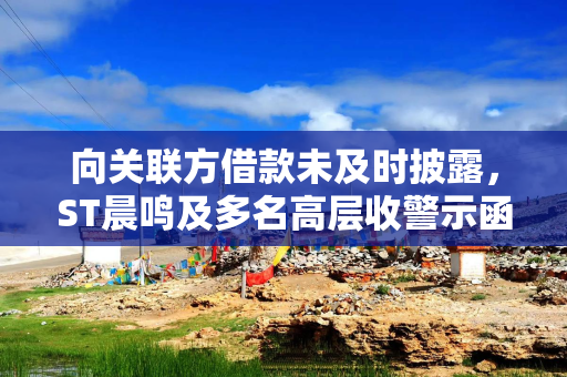 向关联方借款未及时披露，ST晨鸣及多名高层收警示函
