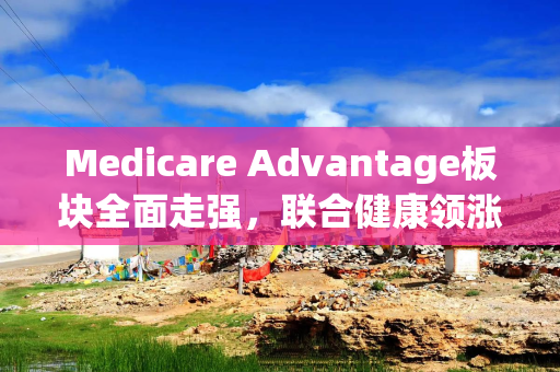 Medicare Advantage板块全面走强，联合健康领涨同业