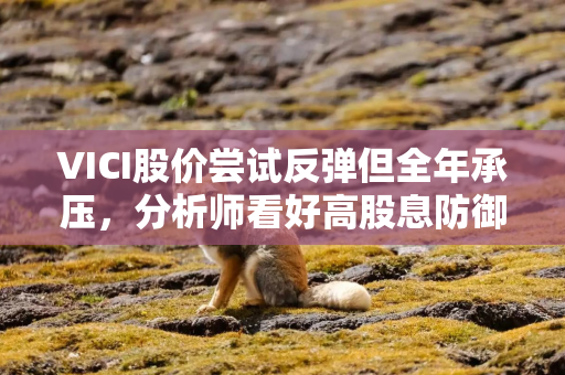VICI股价尝试反弹但全年承压，分析师看好高股息防御价值
