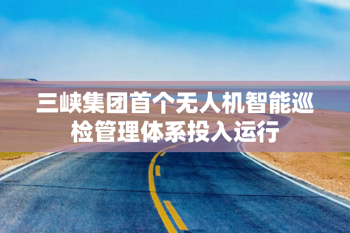三峡集团首个无人机智能巡检管理体系投入运行
