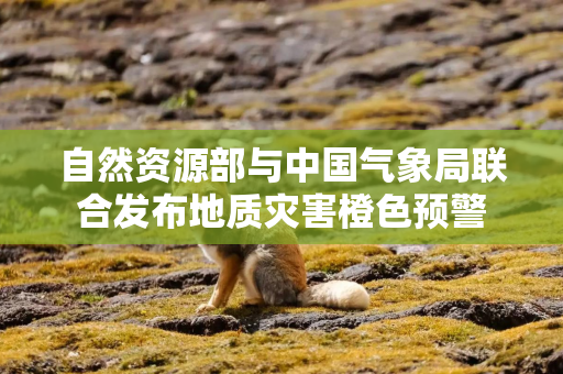 自然资源部与中国气象局联合发布地质灾害橙色预警