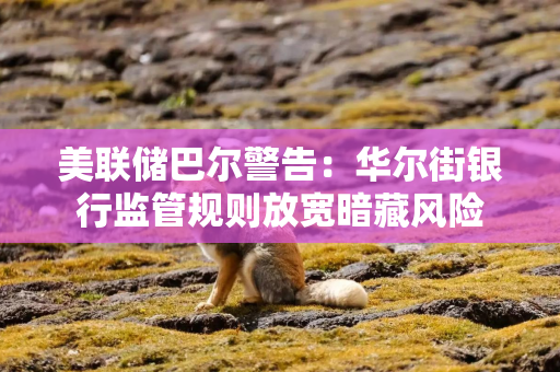 美联储巴尔警告：华尔街银行监管规则放宽暗藏风险