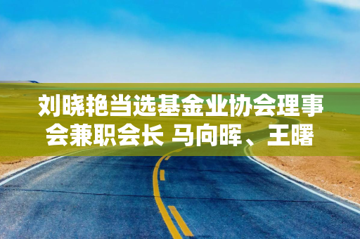 刘晓艳当选基金业协会理事会兼职会长 马向晖、王曙光、李俊杰、张志洲、赵军、黄杰、雷军等当选兼职副会长