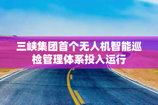 三峡集团首个无人机智能巡检管理体系投入运行
