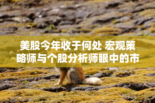 美股今年收于何处 宏观策略师与个股分析师眼中的市场截然不同