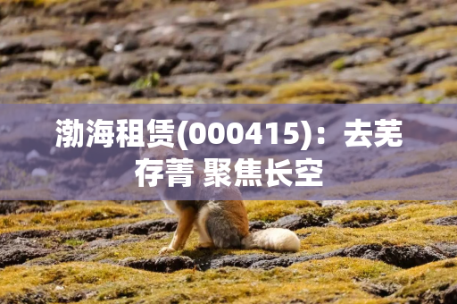 渤海租赁(000415)：去芜存菁 聚焦长空
