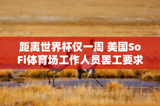 距离世界杯仅一周 美国SoFi体育场工作人员罢工要求加薪