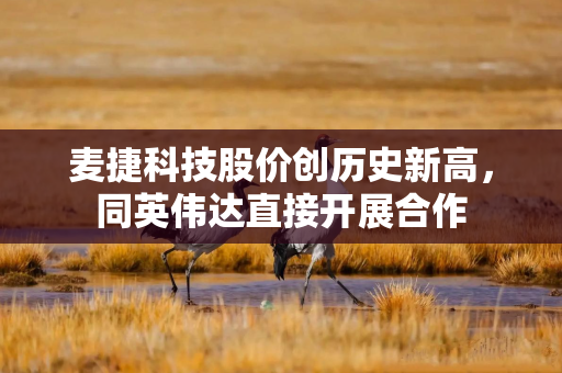 麦捷科技股价创历史新高，同英伟达直接开展合作
