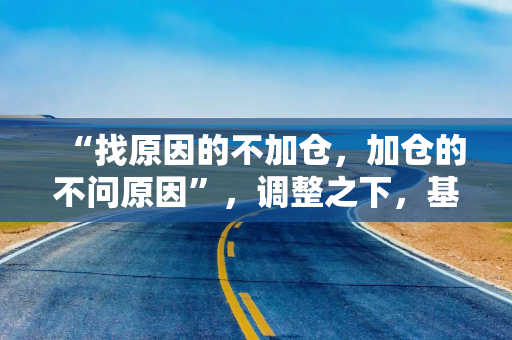 “找原因的不加仓，加仓的不问原因”，调整之下，基金投资“众生相”