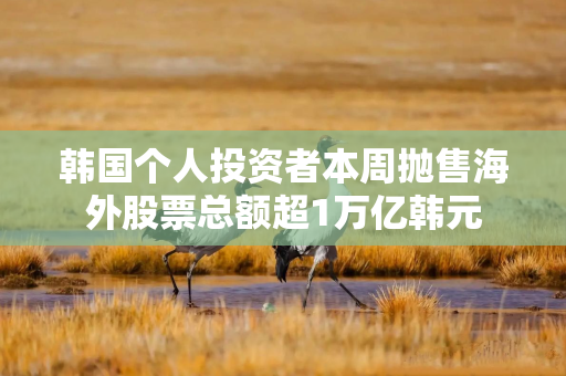 韩国个人投资者本周抛售海外股票总额超1万亿韩元